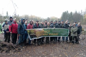 Республиканская акция «Дай лесу новае жыццё!»