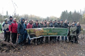 Республиканская акция «Дай лесу новае жыццё!»